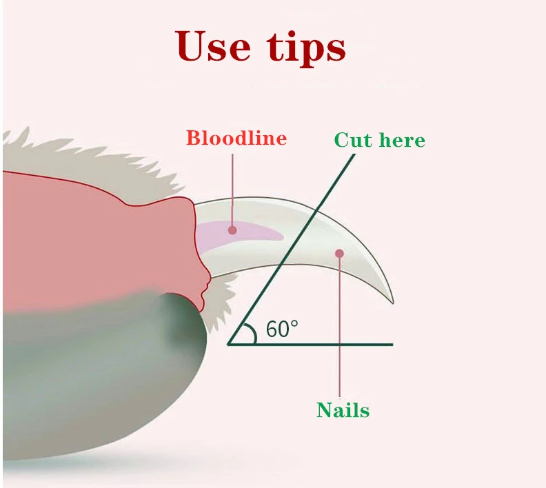 GlowTrim LED Pet Nail Clippers — See the Quick, Skip the Vet